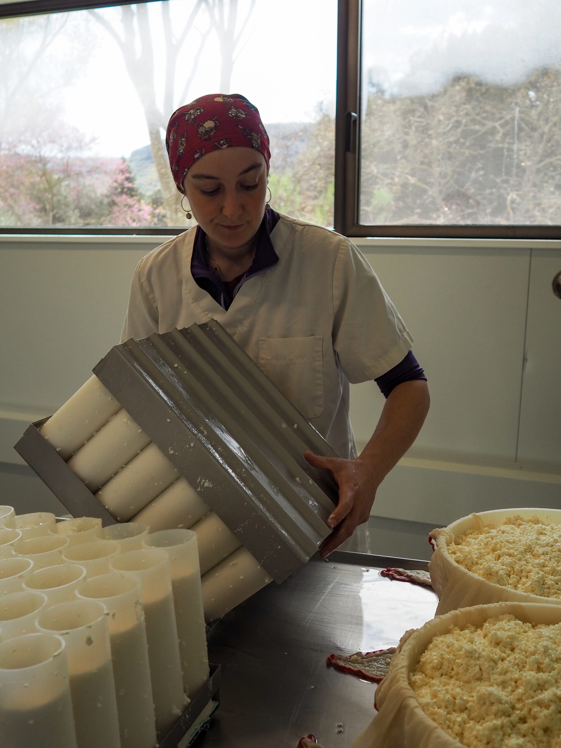 curso de queso