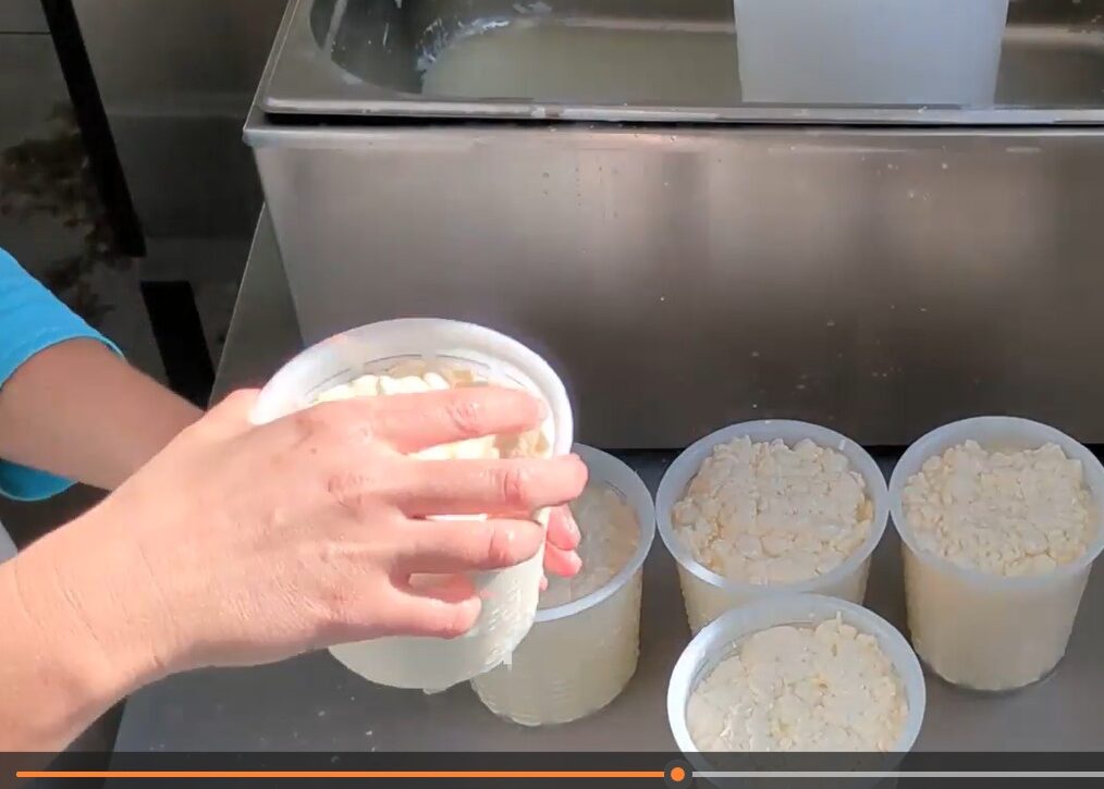 CURSO HACER QUESO CURSO HACER QUESO