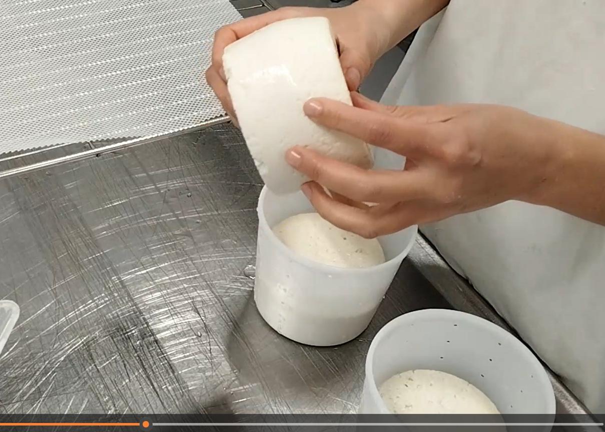 CURSO QUESO ARTESANAL