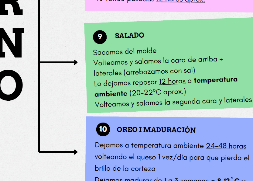 cursos de quesos cursos de quesos