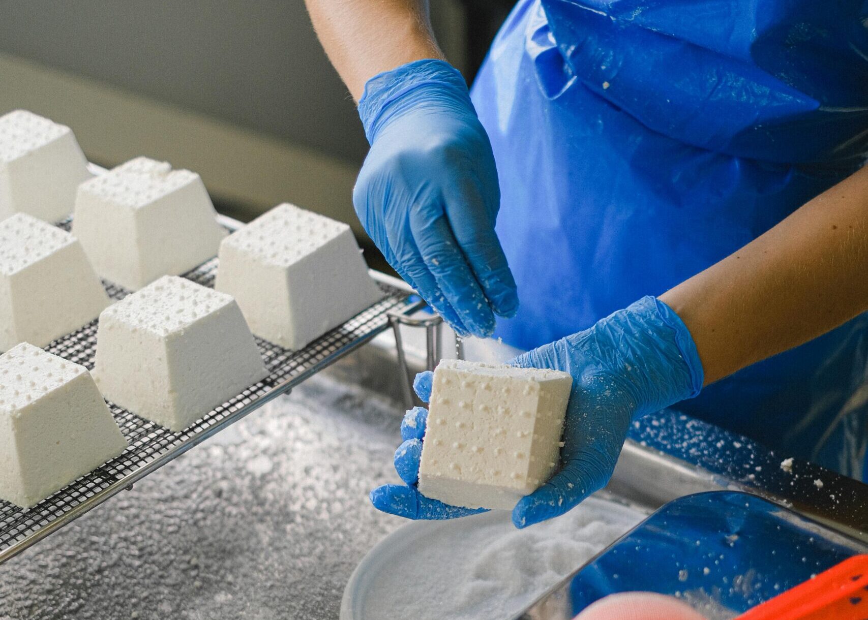 CURSO QUESO ARTESANAL